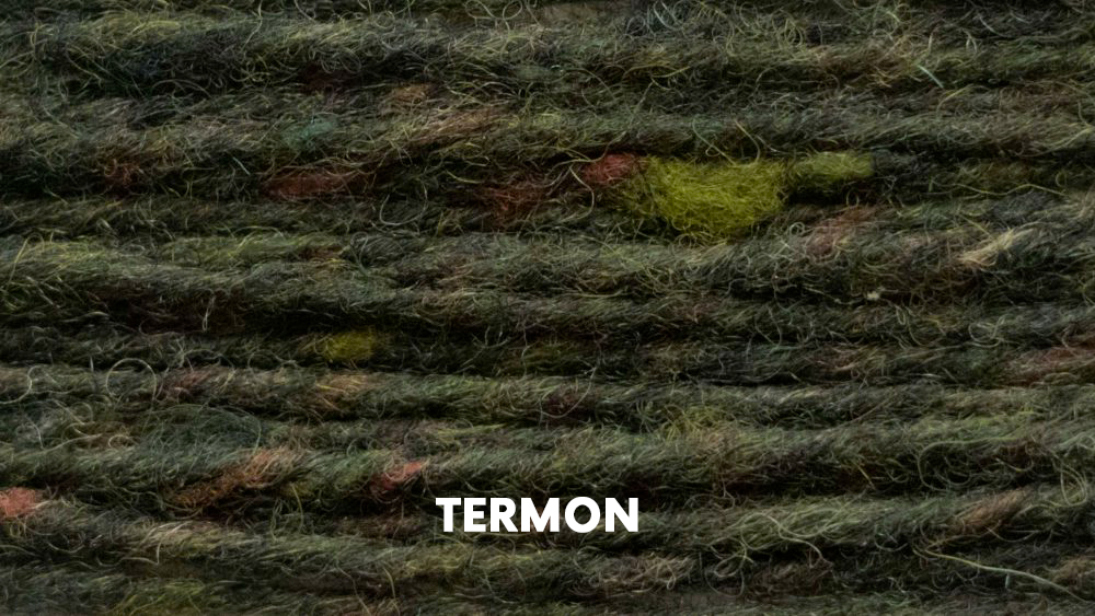 TERMON1